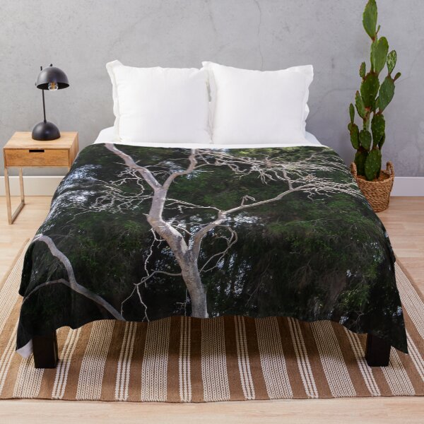 Item preview, Trees in Balboa Park, San Diego designed and sold by heatherfriedman.