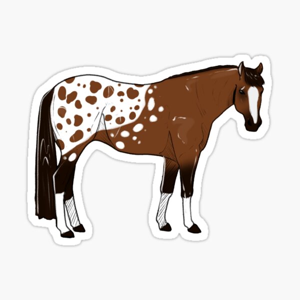 Item preview, Bay Blanket Appaloosa American Quarter Horse designed and sold by Kgerdoodles.