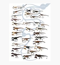 Tyrannosauroid Dinosaurs Photographic Print