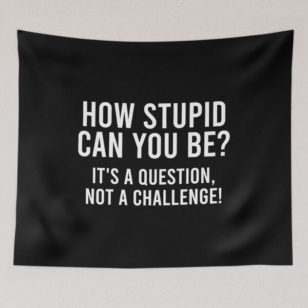 Item preview, How Stupid Can You Be It's a Question Not a Challenge! designed and sold by zhilwahesani.