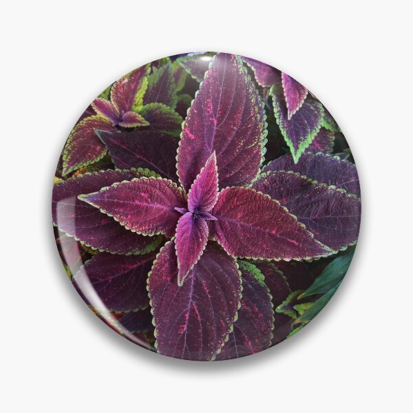 Item preview, Tranquil Serene Dreaming Flowers designed and sold by MyPhotoDreams.
