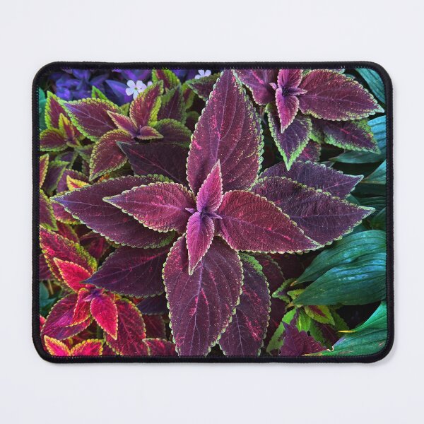 Item preview, Tranquil Serene Dreaming Flowers designed and sold by MyPhotoDreams.