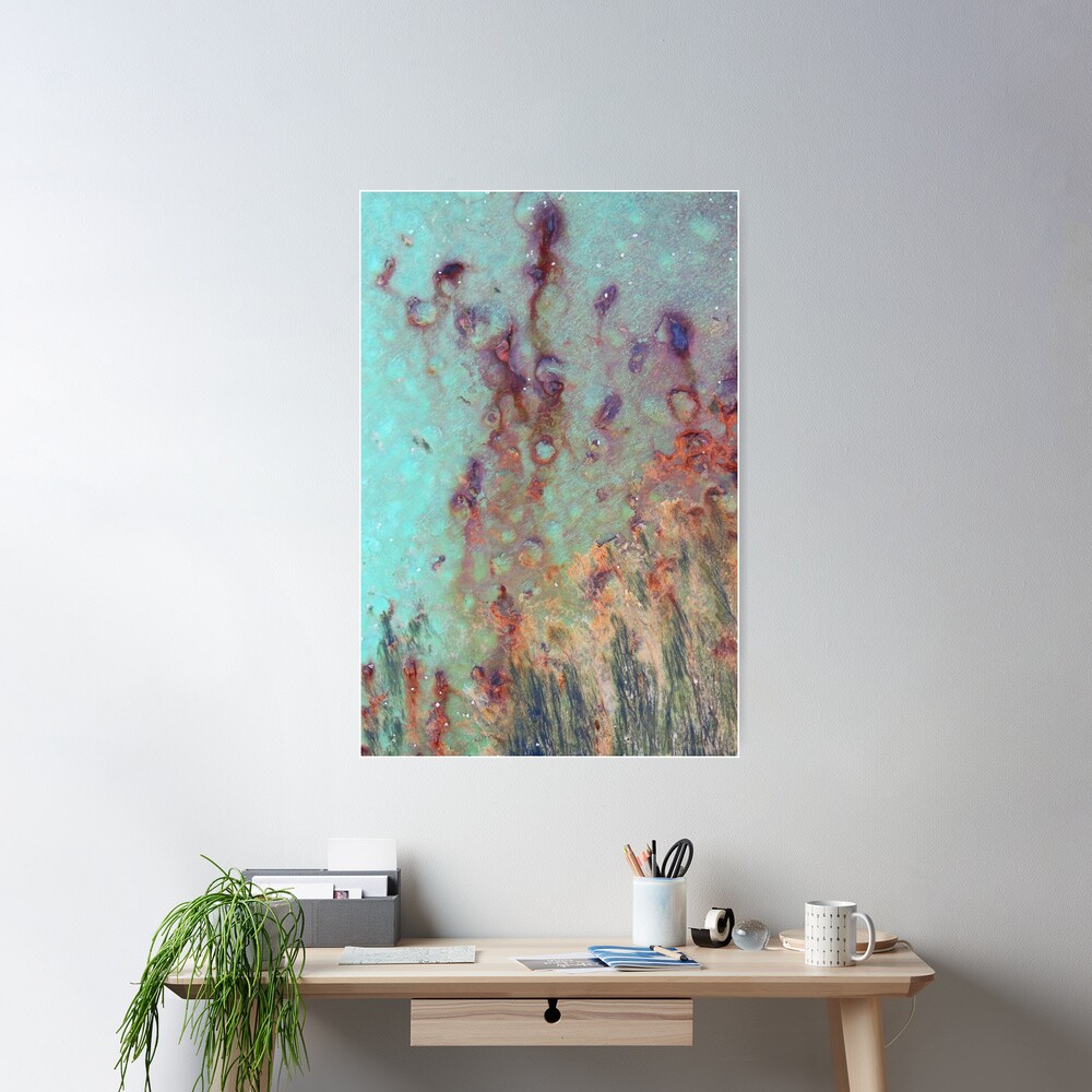 Rusted Painted Metal with Seaweed - 2018 Poster