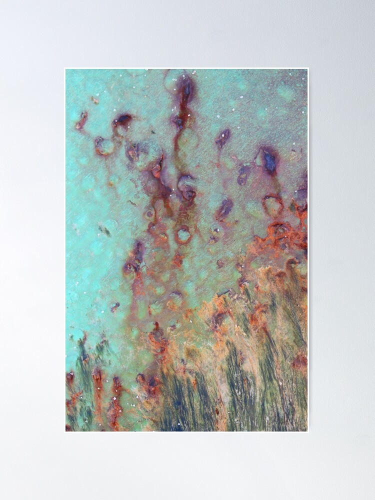 Alternate view of Rusted Painted Metal with Seaweed - 2018 Poster