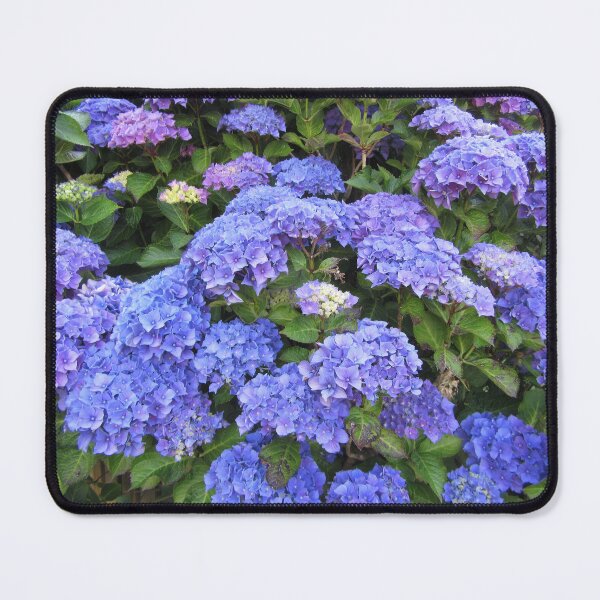 Item preview, Deep Blue Hydrangeas designed and sold by lezvee.