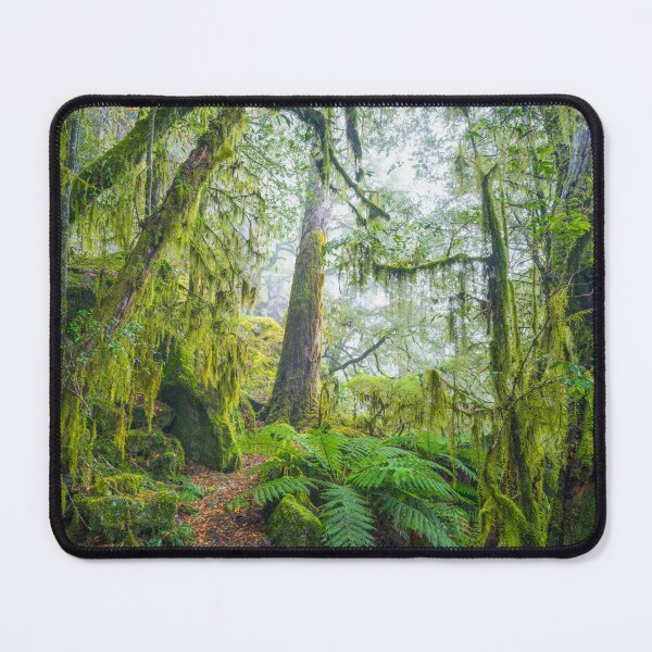 Item preview, Mossy Trees, New England National Park, New South Wales, Australia designed and sold by Michael Boniwell.