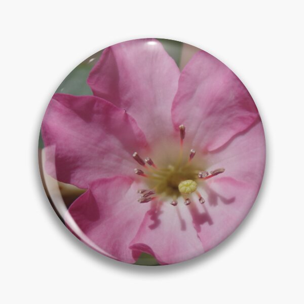 Item preview, Vireya Rhododendron - A Flower From New Zealand designed and sold by lezvee.