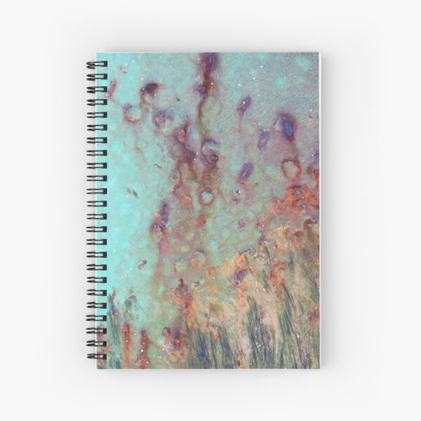 Rusted Painted Metal with Seaweed - 2018 Spiral Notebook