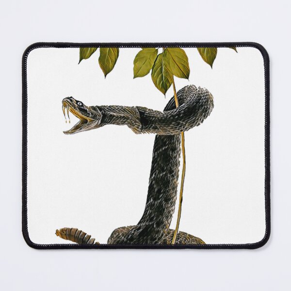 Item preview, Ginseng Dig It Rattlesnake  designed and sold by ShedHunters.