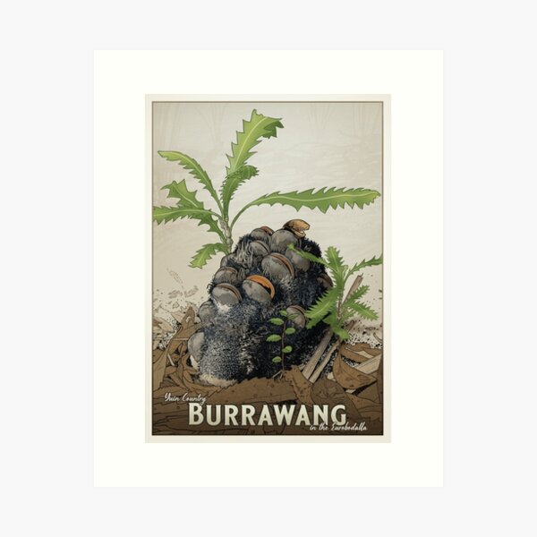 Item preview, Burrawang banksia cone designed and sold by David Pope.