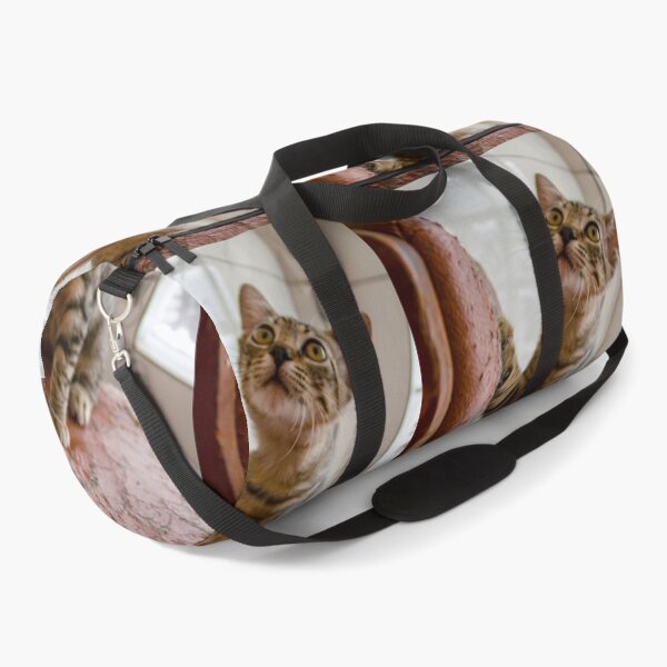 Item preview, Cat scratching leather bench designed and sold by Fran Cost.