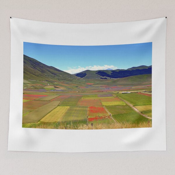 Item preview, Flowering of Castelluccio di Norcia designed and sold by annalisa56.