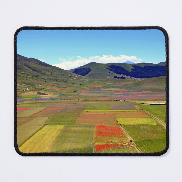 Item preview, Flowering of Castelluccio di Norcia designed and sold by annalisa56.