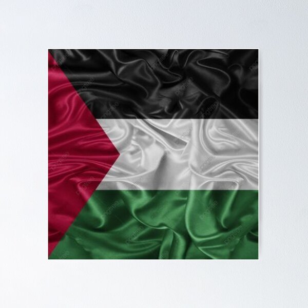 Item preview, Palestine Flag designed and sold by hoshyar1.
