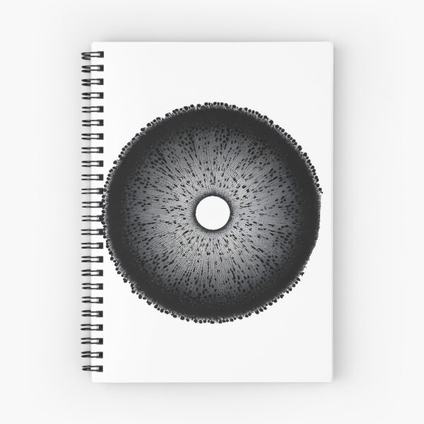 Item preview, Hero Fungi and Heroine Funga Psychedelic Psilocybe Cubensis Mushrooms Spore Canvas Photographic Art Print designed and sold by Zenithara.