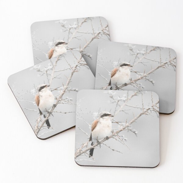Item preview, Red-backed Shrike designed and sold by MyAfricanSafari.
