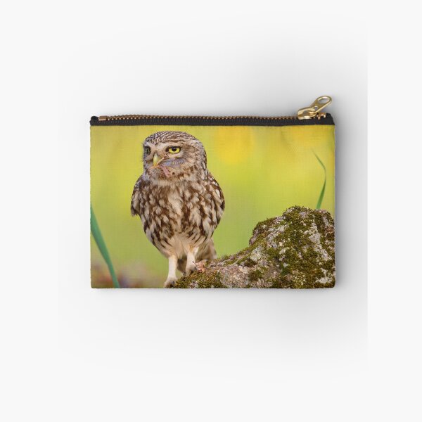 Item preview, A little owl with a grasshopper. designed and sold by DesignAstur.