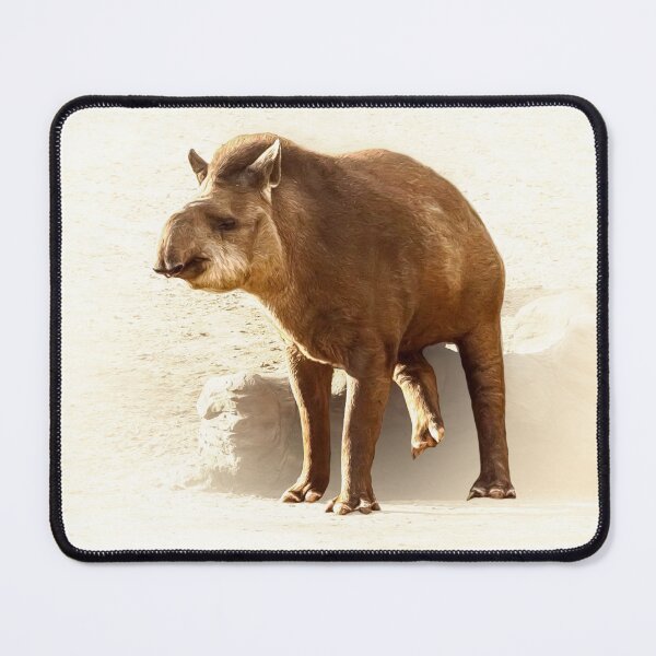Aperçu de l'œuvre Tapir créée et vendue par Guardi71.