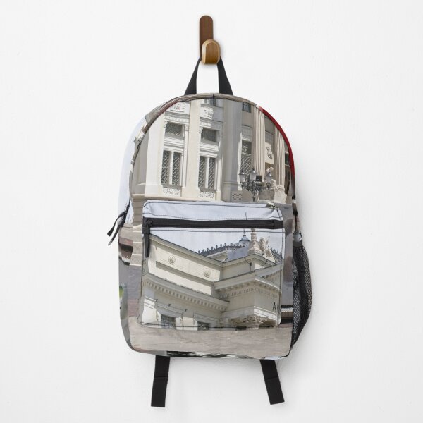 Item preview, A walking in the center of Szeged city in southwestern Hungary in a sunny spring day. Ferenc Mora Museum. designed and sold by Maurizio Fabbroni.