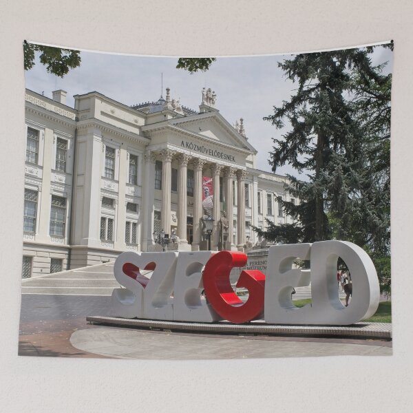 Item preview, A walking in the center of Szeged city in southwestern Hungary in a sunny spring day. Ferenc Mora Museum.  designed and sold by Maurizio Fabbroni.