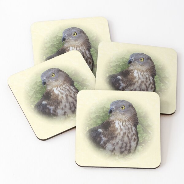 Item preview, Honey buzzard designed and sold by Guardi71.