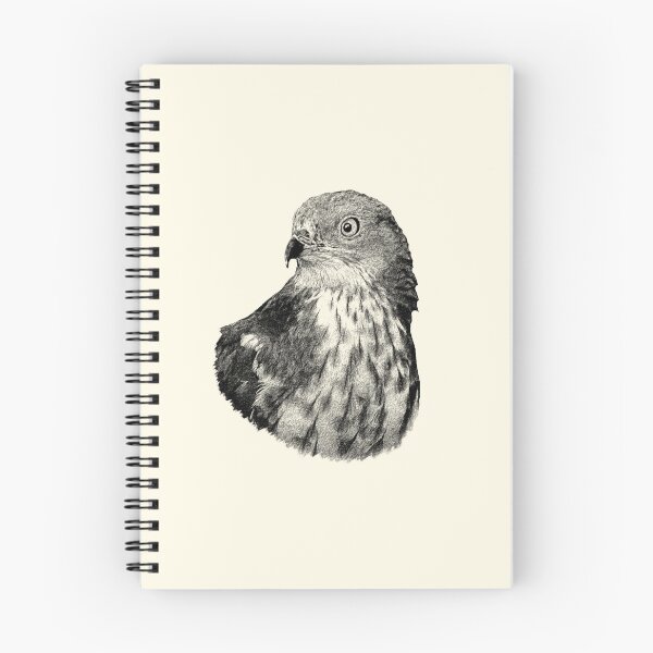 Item preview, Honey buzzard designed and sold by Guardi71.