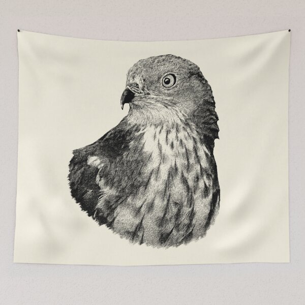 Item preview, Honey buzzard designed and sold by Guardi71.