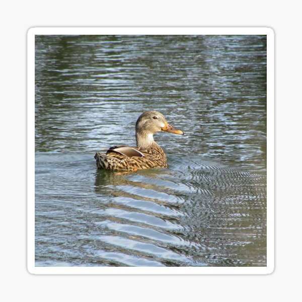Item preview, Making ripples designed and sold by Tonia Delozier's Photography .
