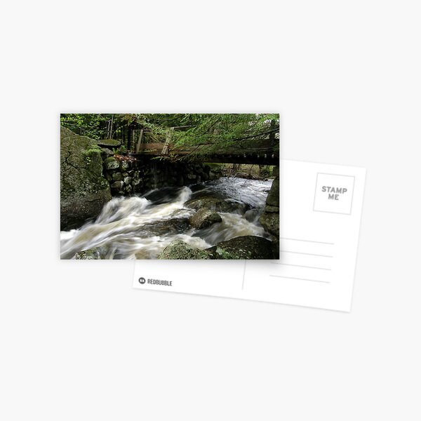 Water Under The Bridge Postcard