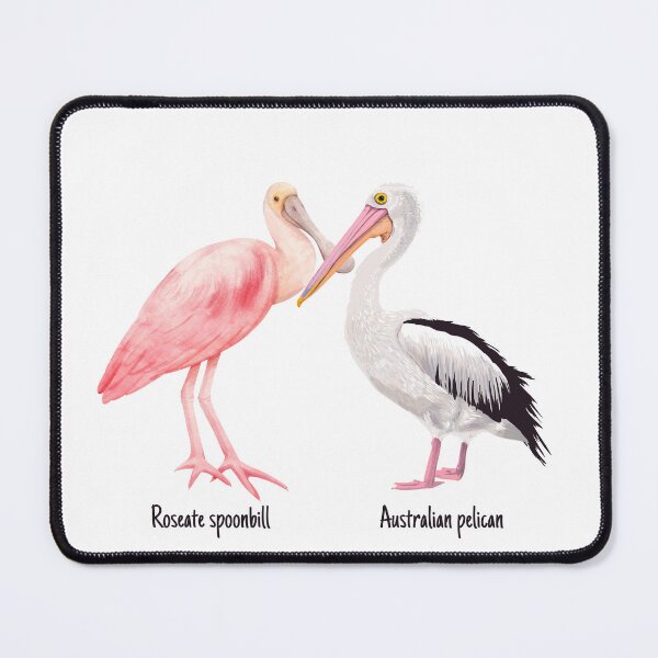 Item preview, Australican Pelican and Roseate Spoonbill designed and sold by Angie-Atelier.