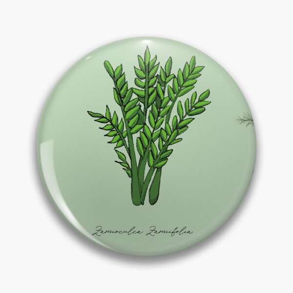 Item preview, Indoor plants with their names designed and sold by by Mònica Roca.