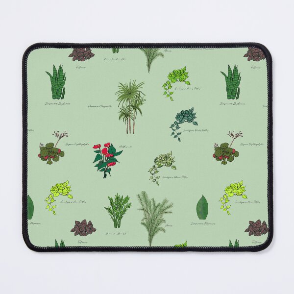 Item preview, Indoor plants with their names designed and sold by by Mònica Roca.