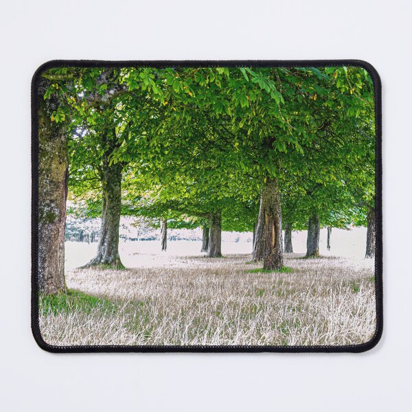 Item preview, Trees in bloom designed and sold by Jinxyboy1908.