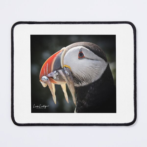 Item preview, Puffin designed and sold by llanteigne.