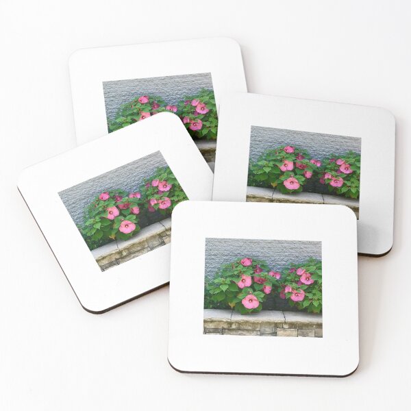 Item preview, Pink Hibiscus designed and sold by Jane Evans.
