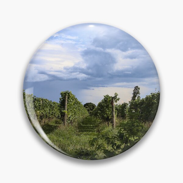 Item preview, Blue sky of an Italian vineyard designed and sold by colliophoto.