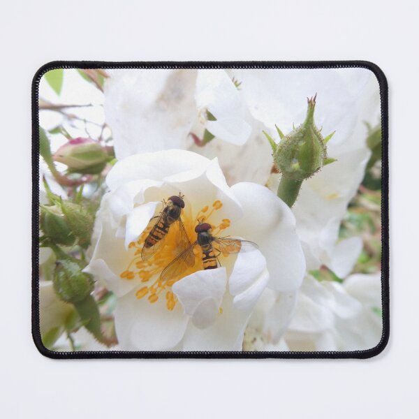 Item preview, Hoverflies Chatting designed and sold by JonDelorme.