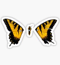 Paramore Brand New Eyes Sticker