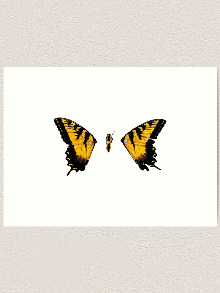 Paramore Brand New Eyes Butterfly Skinny T-Shirt SMALL