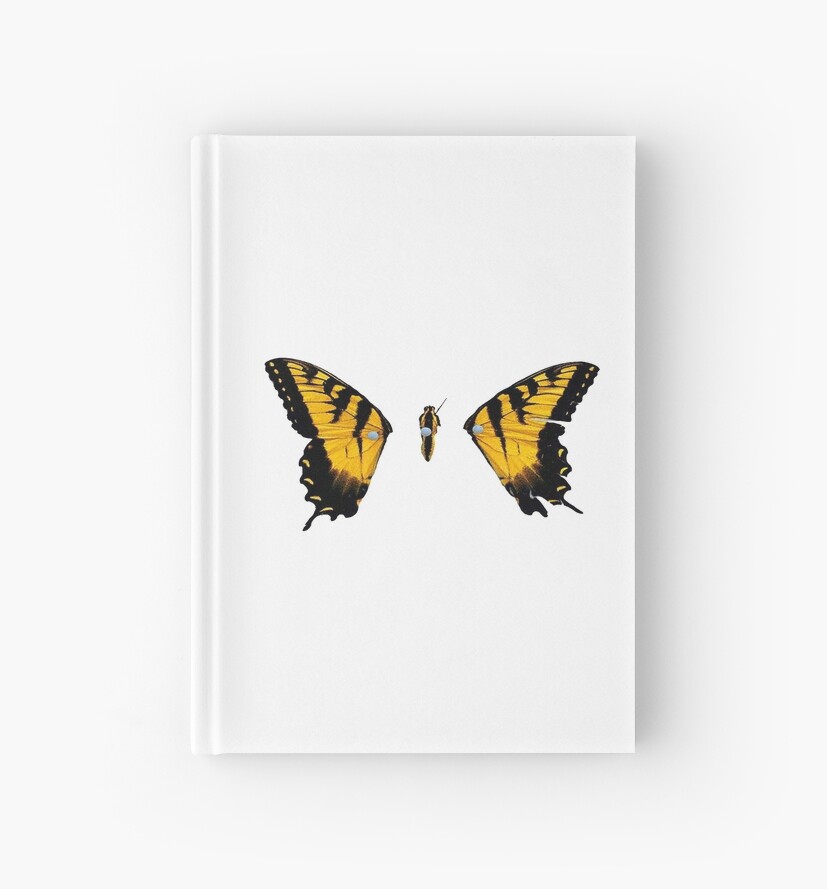 brand new eyes