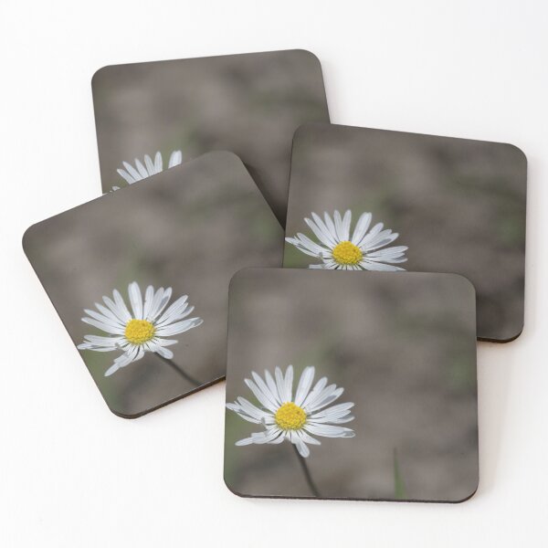 Item preview, Daisy designed and sold by Calidris Fotografie Steffi & Ben Köppler.