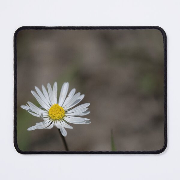 Item preview, Daisy designed and sold by Calidris Fotografie Steffi & Ben Köppler.