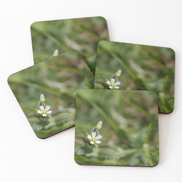 Item preview, Little Flower designed and sold by Calidris Fotografie Steffi & Ben Köppler.