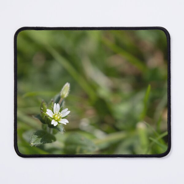 Item preview, Little Flower designed and sold by Calidris Fotografie Steffi & Ben Köppler.
