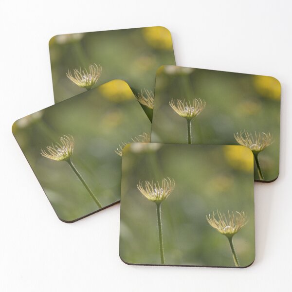 Item preview, Flowers designed and sold by Calidris Fotografie Steffi & Ben Köppler.