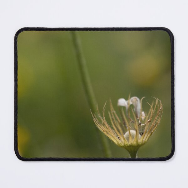 Item preview, Flower designed and sold by Calidris Fotografie Steffi & Ben Köppler.