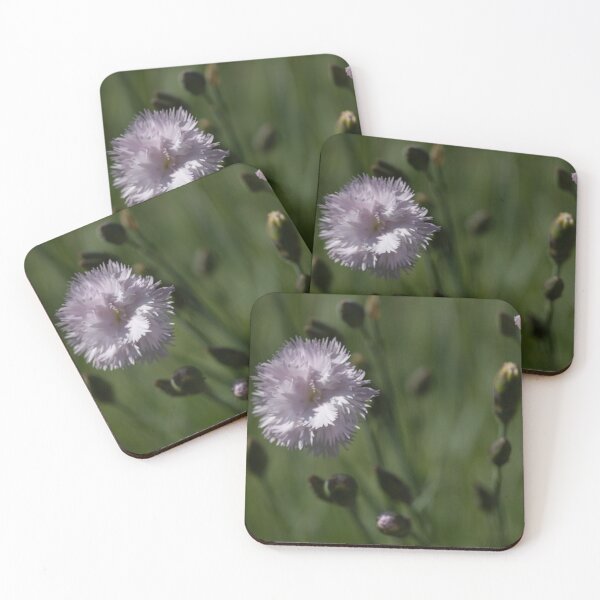 Item preview, Carnation designed and sold by Calidris Fotografie Steffi & Ben Köppler.