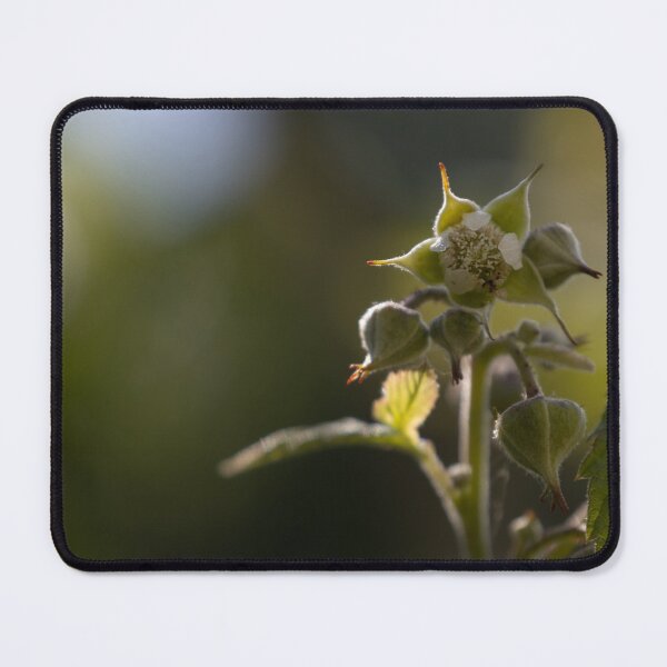 Item preview, Red Raspberry designed and sold by Calidris Fotografie Steffi & Ben Köppler.