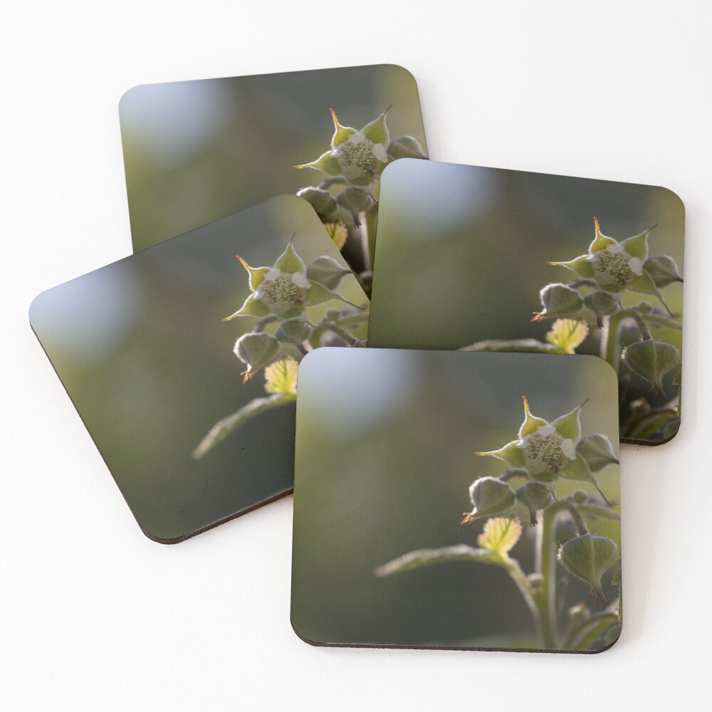 Item preview, Coasters (Set of 4) designed and sold by steffik.