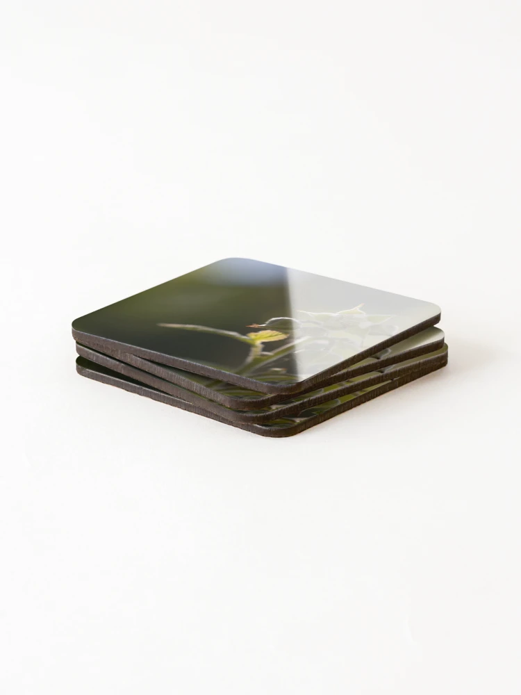 Thumbnail 4 of 5, Coasters (Set of 4), Red Raspberry designed and sold by Calidris Fotografie Steffi & Ben Köppler.